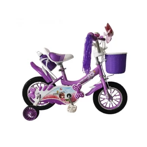 Bicicleta 16 Morada